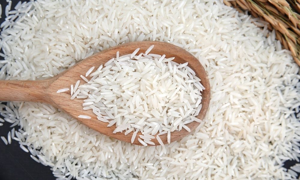 basmati rice wholesale