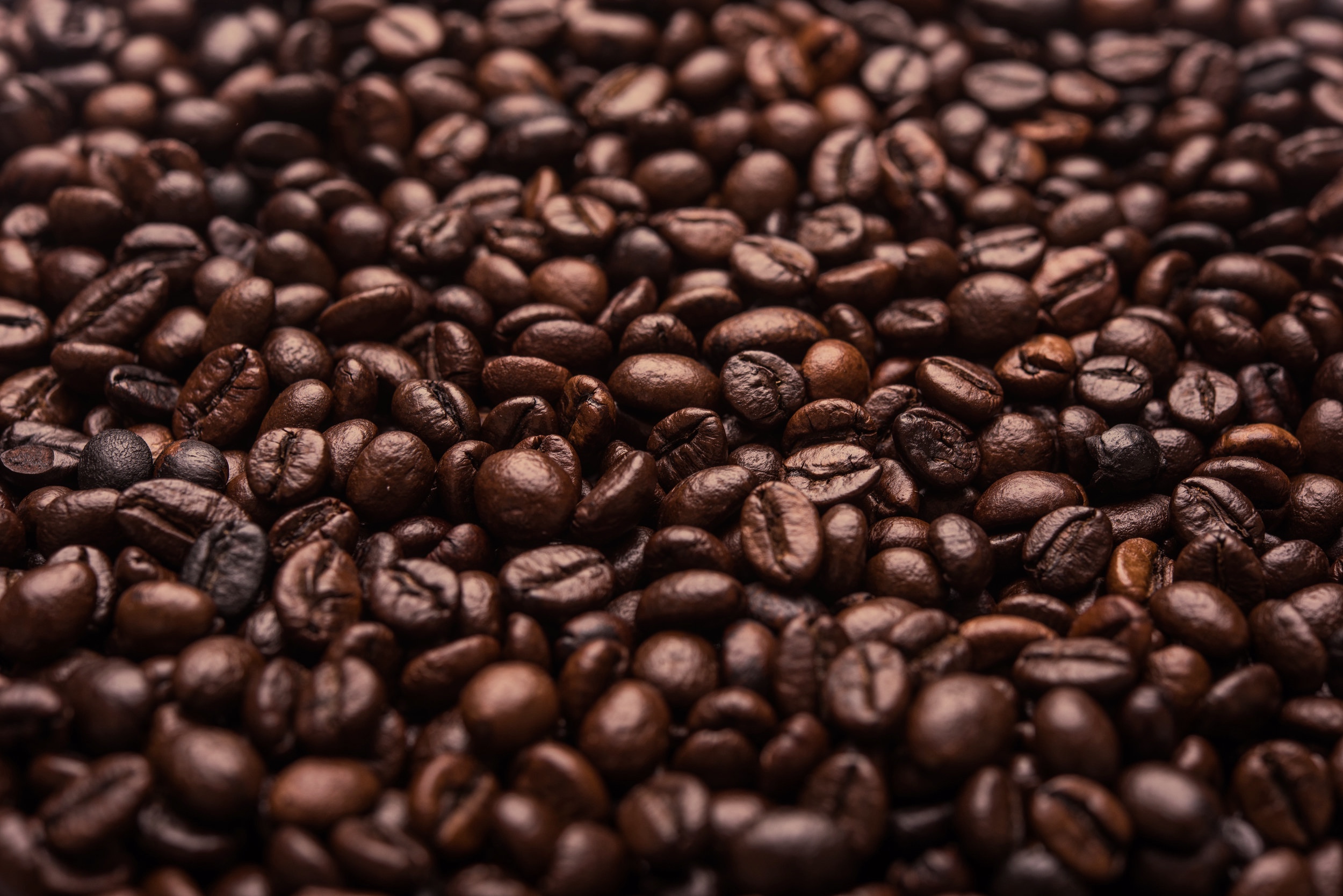 coffee bean wholesale price