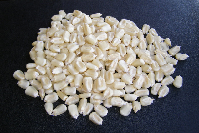 white corn wholesale and retail